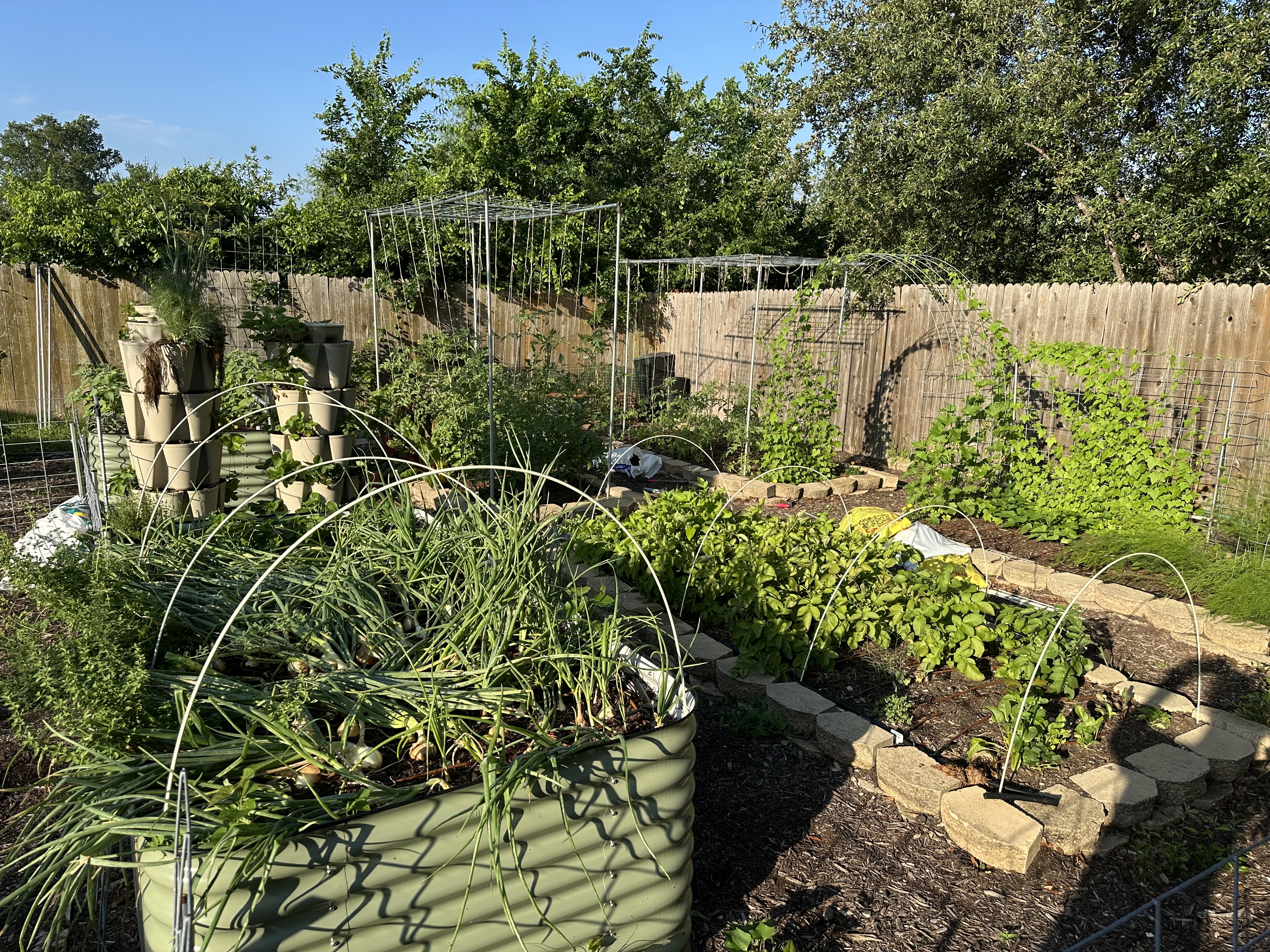 Bountiful home garden